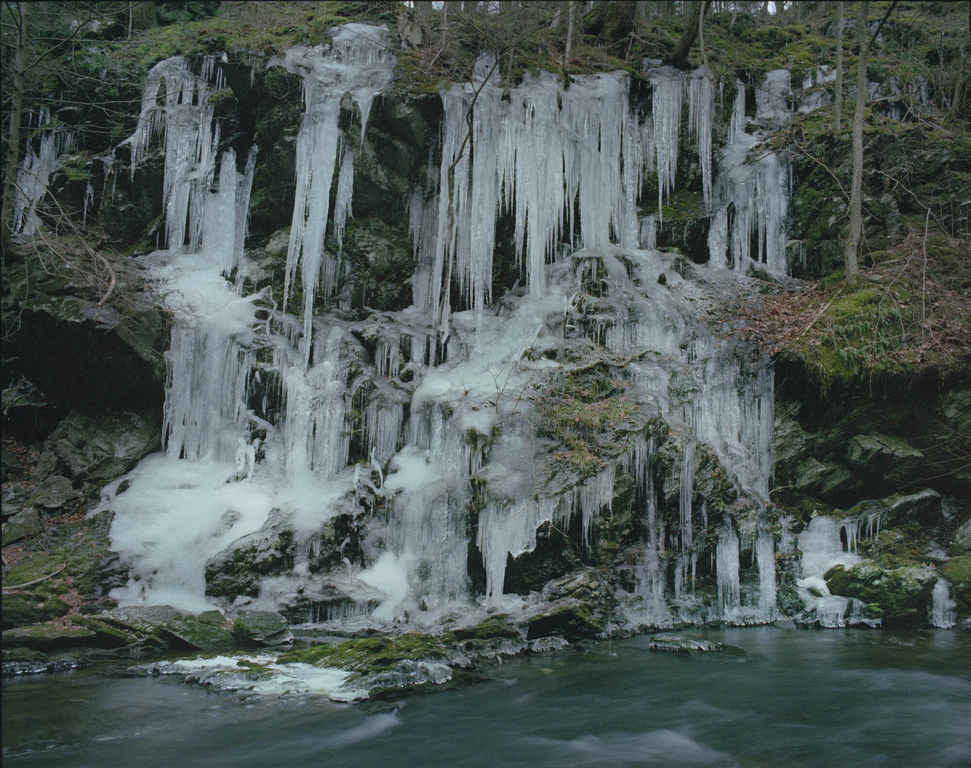 Beast by the Waterfall Guesthouse 瀑布招待所旁的巨兽— ZHANG Wenxin